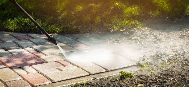 Best Animal Enclosure Cleaning  in Portsmouth, NH